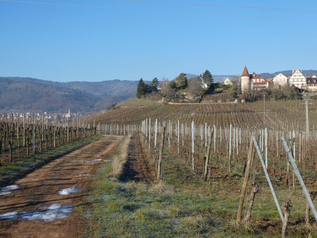 La Maison Du Bonheur Villa Zellenberg Kültér fotó
